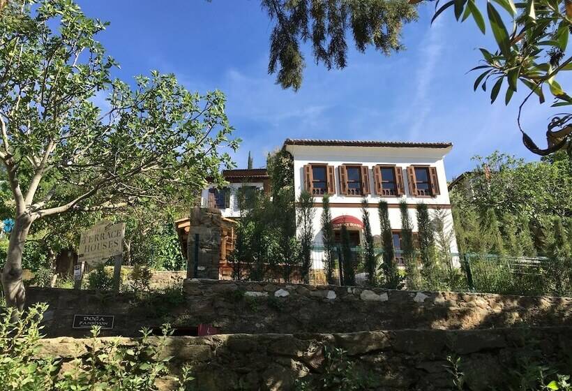 بنسيون Terrace Houses Sirince   Fig, Olive Clockmakers And Grapevine
