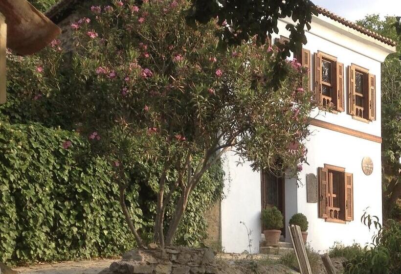 بنسيون Terrace Houses Sirince   Fig, Olive Clockmakers And Grapevine