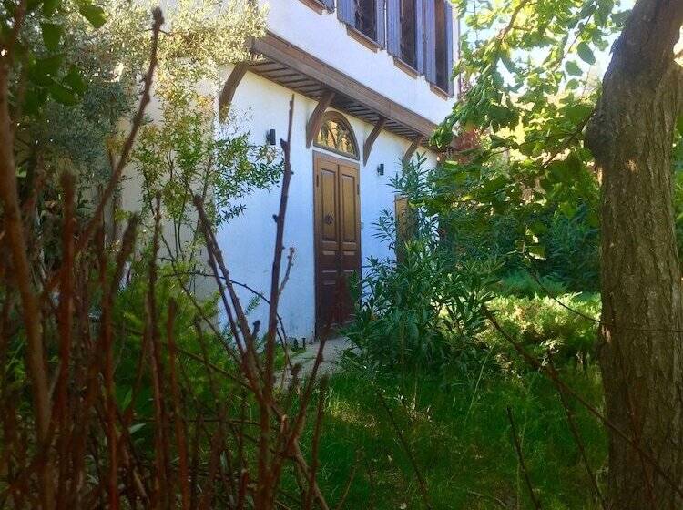 بنسيون Terrace Houses Sirince   Fig, Olive Clockmakers And Grapevine