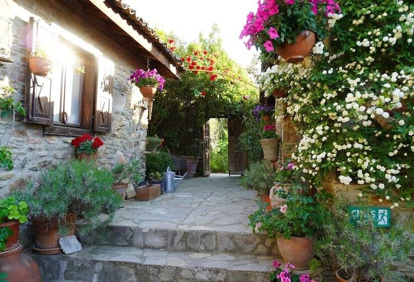 بنسيون Terrace Houses Sirince   Fig, Olive Clockmakers And Grapevine