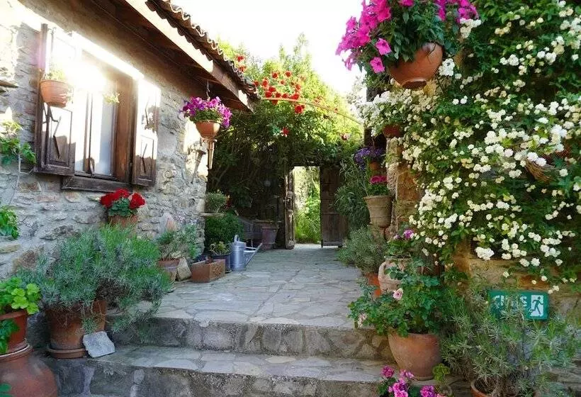 ペンション Terrace Houses Sirince Fig, Olive Clockmakers And Grapevine