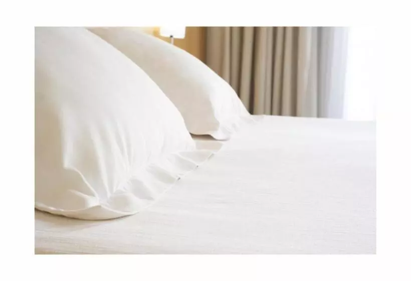 膳宿费 The Briarcroft