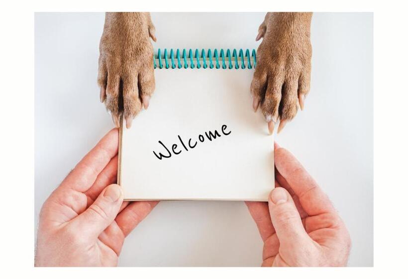 פנסיון The Briarcroft