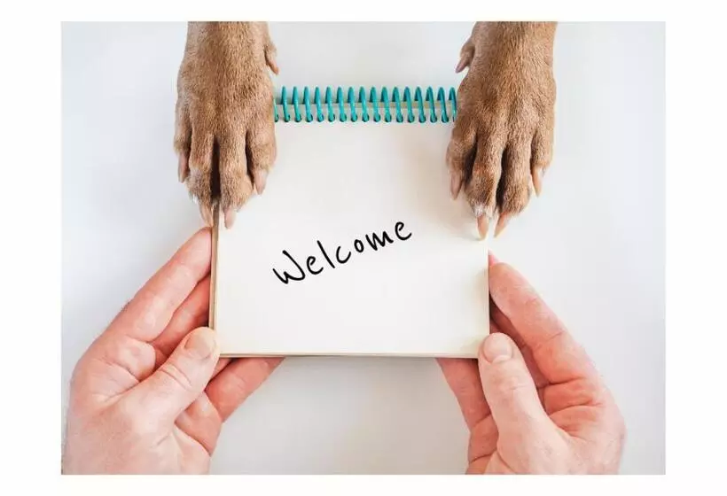 膳宿费 The Briarcroft