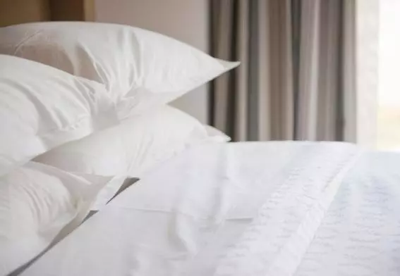 膳宿费 The Briarcroft