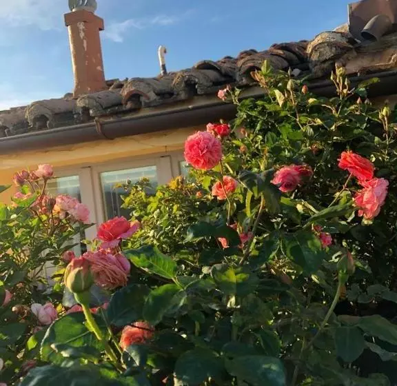 ベッドアンドブレックファースト Mini Resort Fontana Maggiore