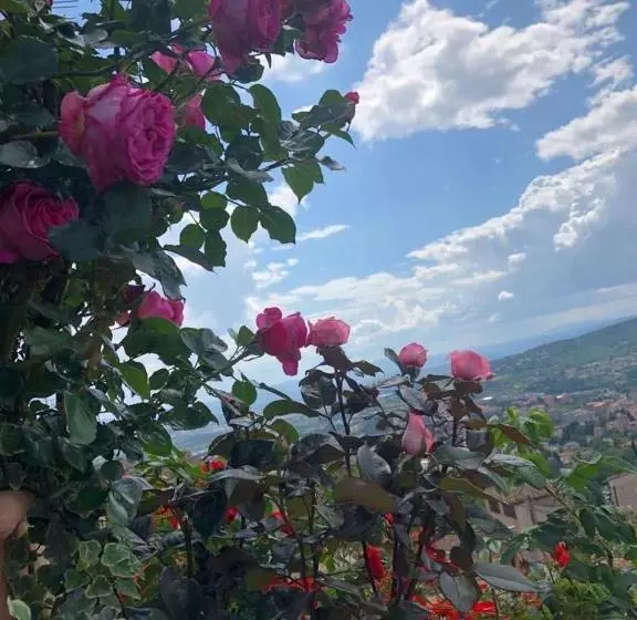 ベッドアンドブレックファースト Mini Resort Fontana Maggiore