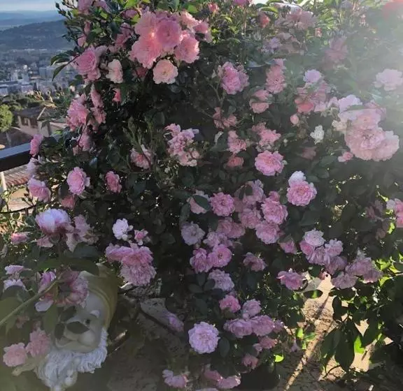 ベッドアンドブレックファースト Mini Resort Fontana Maggiore