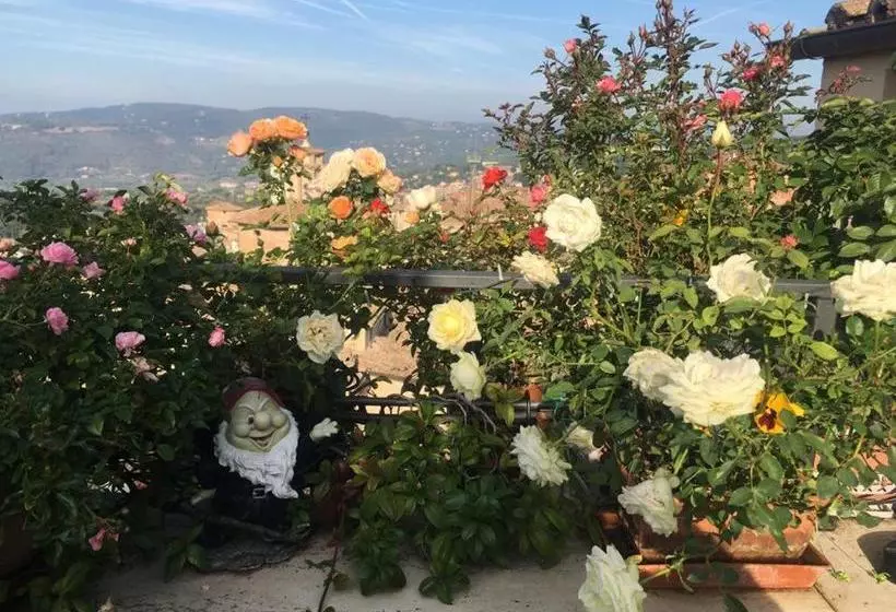 ベッドアンドブレックファースト Mini Resort Fontana Maggiore