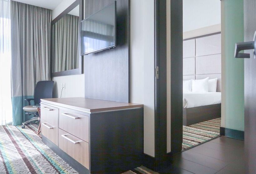 فندق Hilton Garden Inn San Jose La Sabana