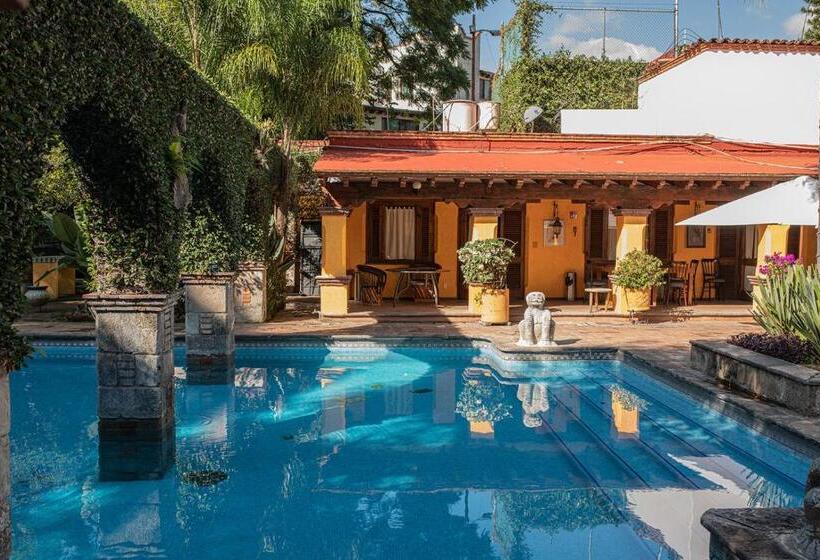 فندق La Joyita Cuernavaca