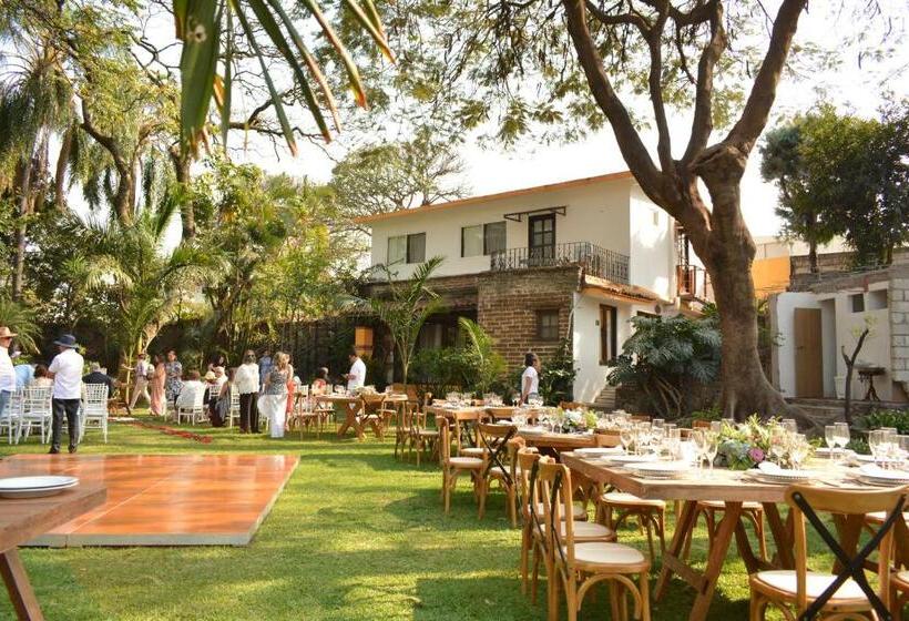 فندق La Joyita Cuernavaca