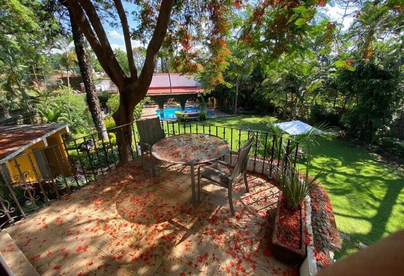 فندق La Joyita Cuernavaca