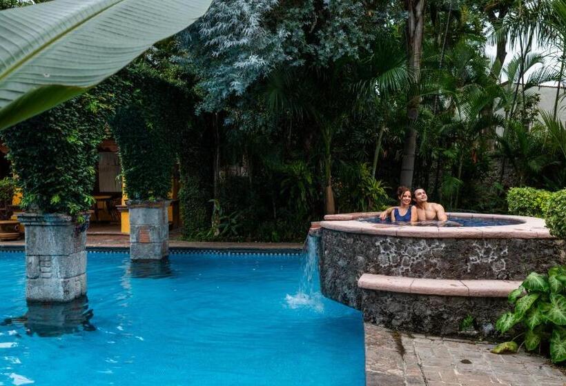 فندق La Joyita Cuernavaca