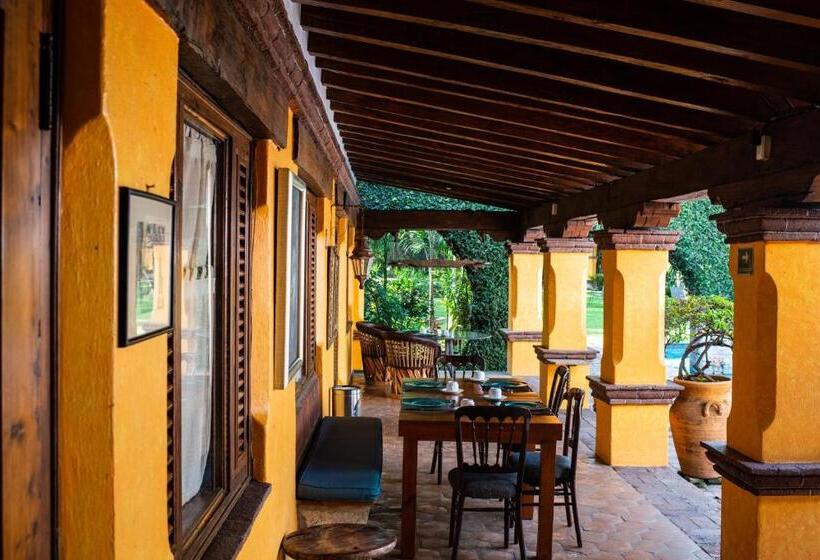 فندق La Joyita Cuernavaca