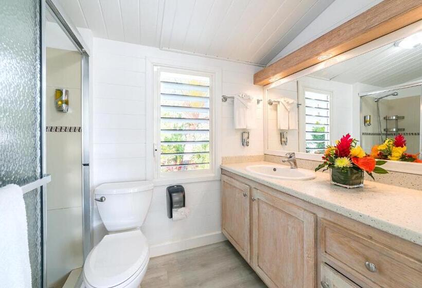 هتل La Vista Resort