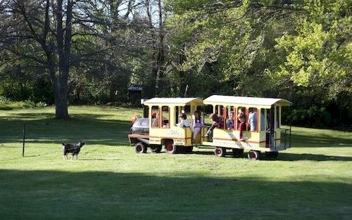 호텔 Snowy Waters The Old Nurses Home