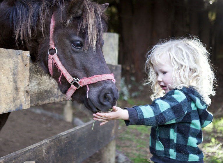 호텔 Snowy Waters The Old Nurses Home