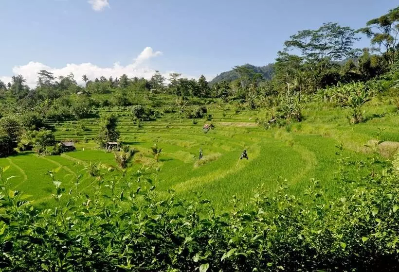 호텔 Subak Tabola Villa