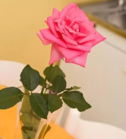 Kahlua Hotel Apartments