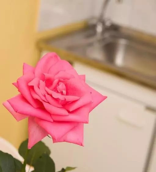 Kahlua Hotel Apartments