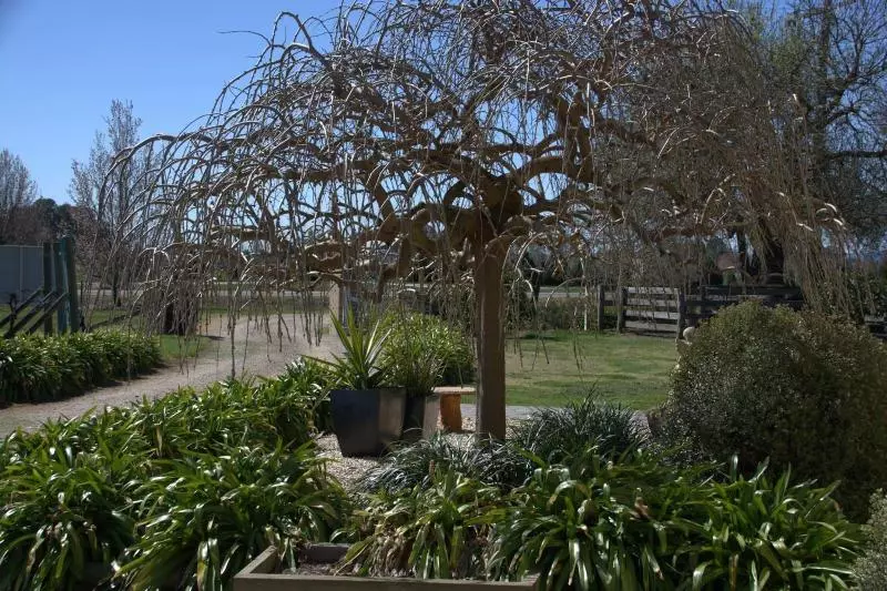 Milawa Muscat Retreat B&b