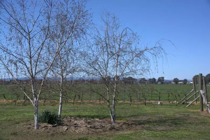 Milawa Muscat Retreat B&b