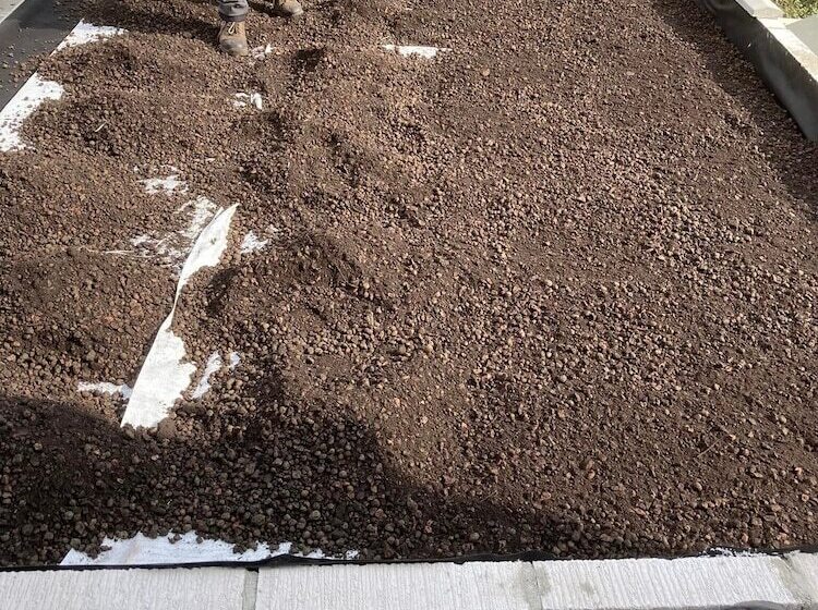 פנסיון Mariners Guest House