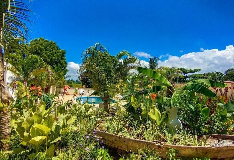 ホテル Golden Palm Boutique Zanzibar