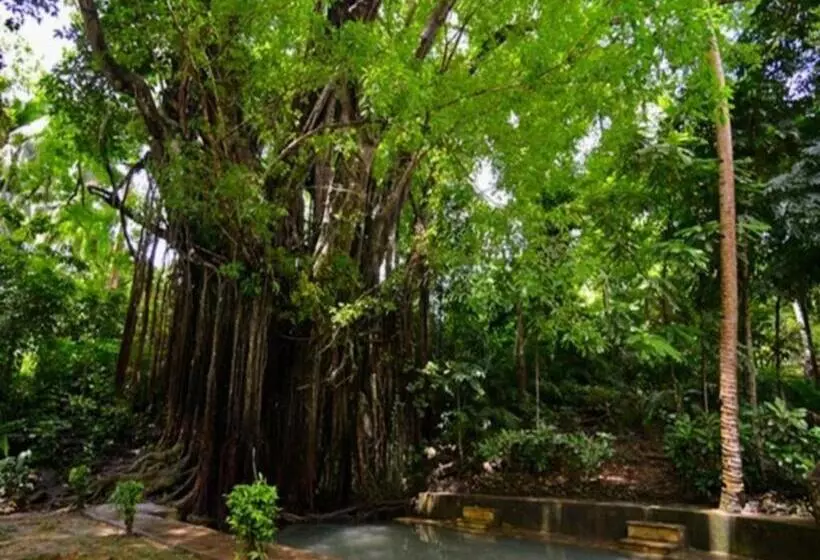 Hotelli Kalachuchi Beach Resort