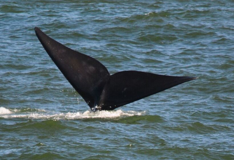 ベッドアンドブレックファースト Milkwood Lodge