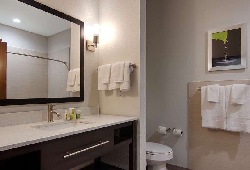 בית מלון כפרי Best Western Plus College Station Inn & Suites