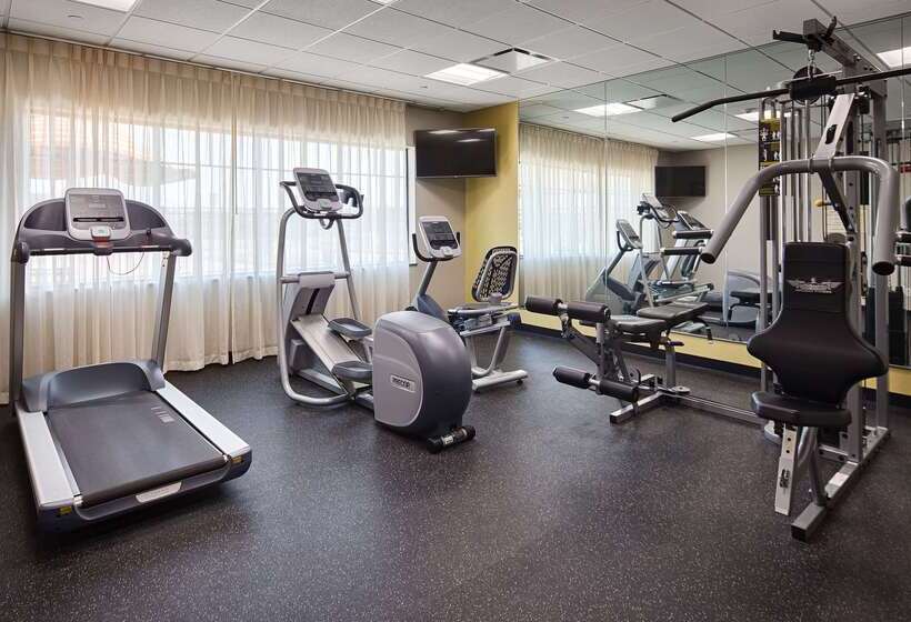 בית מלון כפרי Best Western Plus College Station Inn & Suites