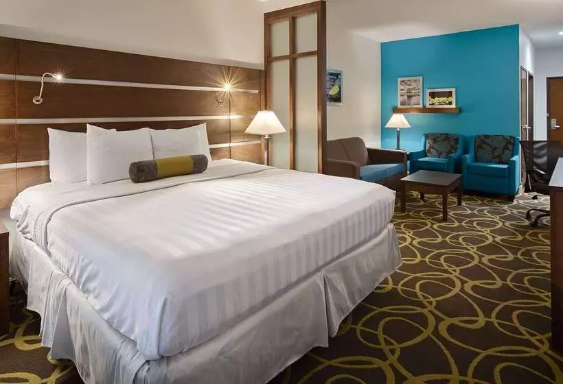 בית מלון כפרי Best Western Plus College Station Inn & Suites