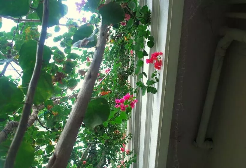 هتل Elim Homestay Fort Kochi