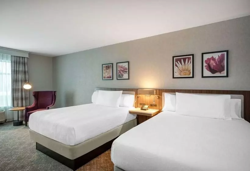 فندق Hilton Garden Inn Boston Logan Airport