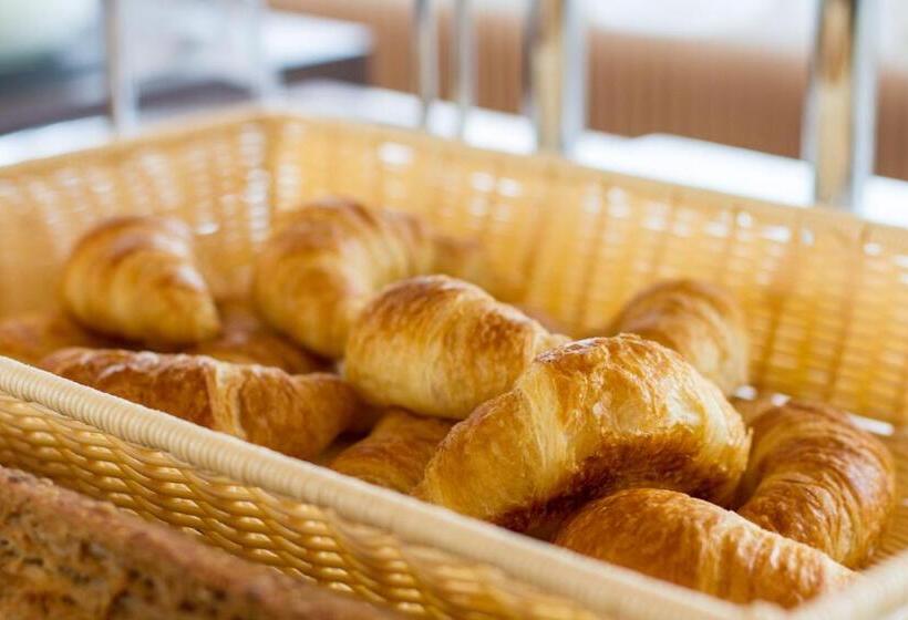 בית מלון כפרי Hôtel Elite