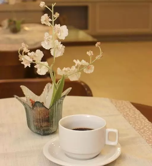 فندق Palace Frederico