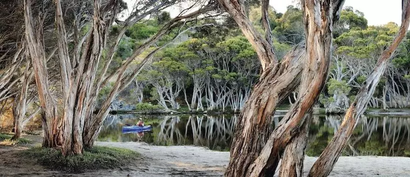צימר Sea Dragon Kangaroo Island
