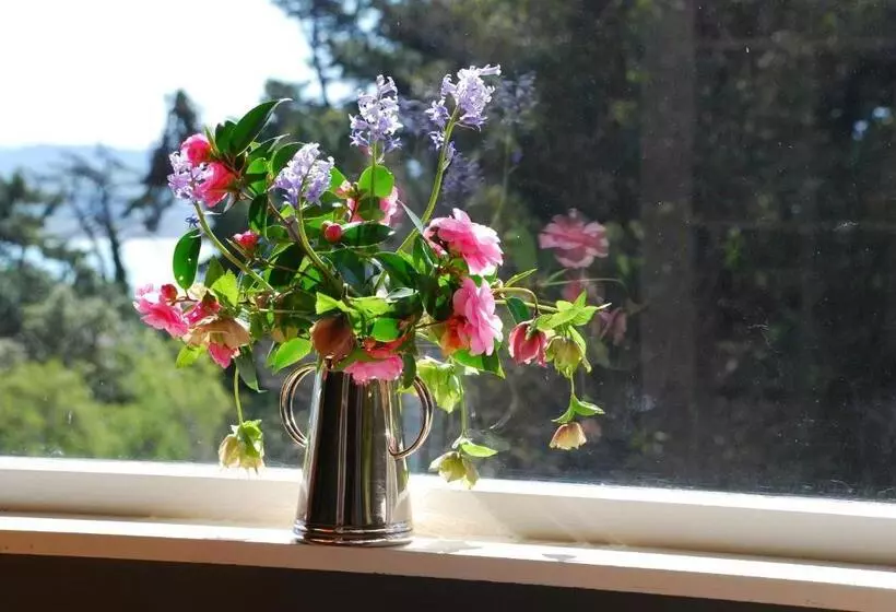 هتل Cobden Garden