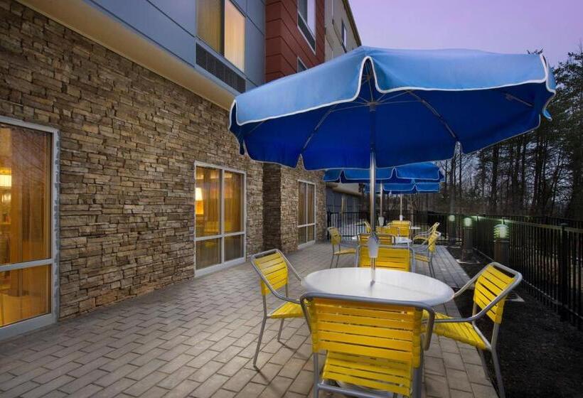 فندق Fairfield Inn & Suites By Marriott Arundel Mills Bwi Airport