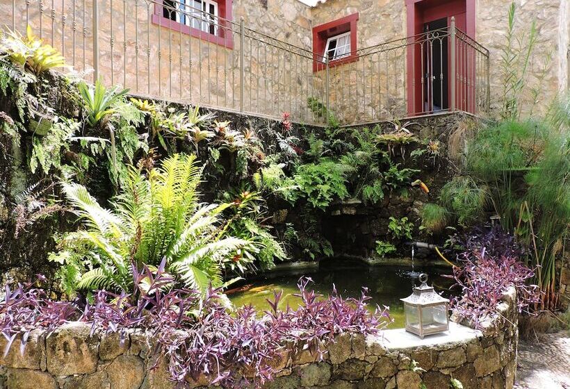 Hotel Pousada Araujo Bazilio