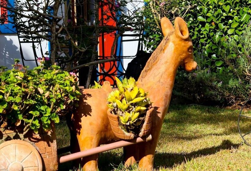 Hotel Pousada Araujo Bazilio