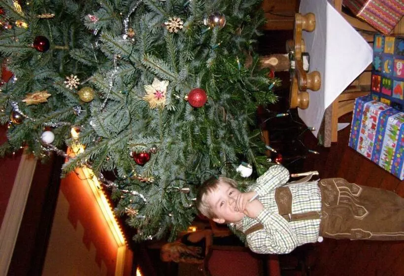 ホテル Unterbrunn Apartments & Gästehaus