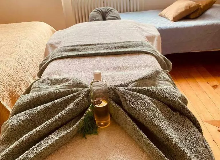 Bed & Breakfast Chateau Les Cèdres