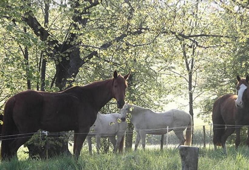 فندق صغير Le Grangé