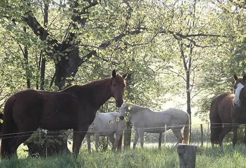 ユースホステル Le Grangé