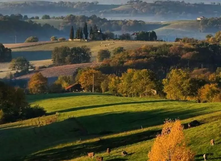 Aamiaismajoitus (B&B) Chambre D Hôtes Insolite Dans Un Pigeonnier à 5 Minutes De Marciac Gers