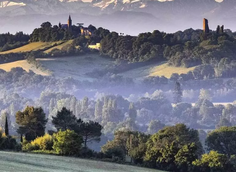 Aamiaismajoitus (B&B) Chambre D Hôtes Insolite Dans Un Pigeonnier à 5 Minutes De Marciac Gers