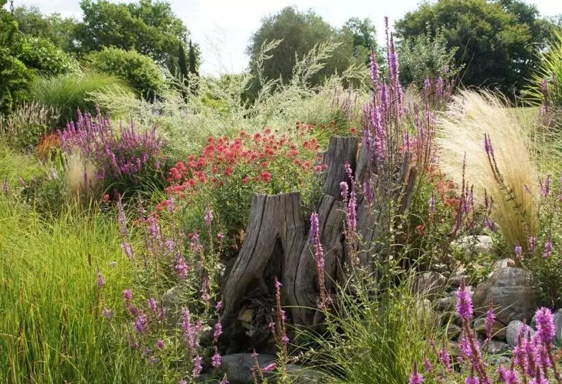 Aamiaismajoitus (B&B) Chambre D Hôtes Insolite Dans Un Pigeonnier à 5 Minutes De Marciac Gers